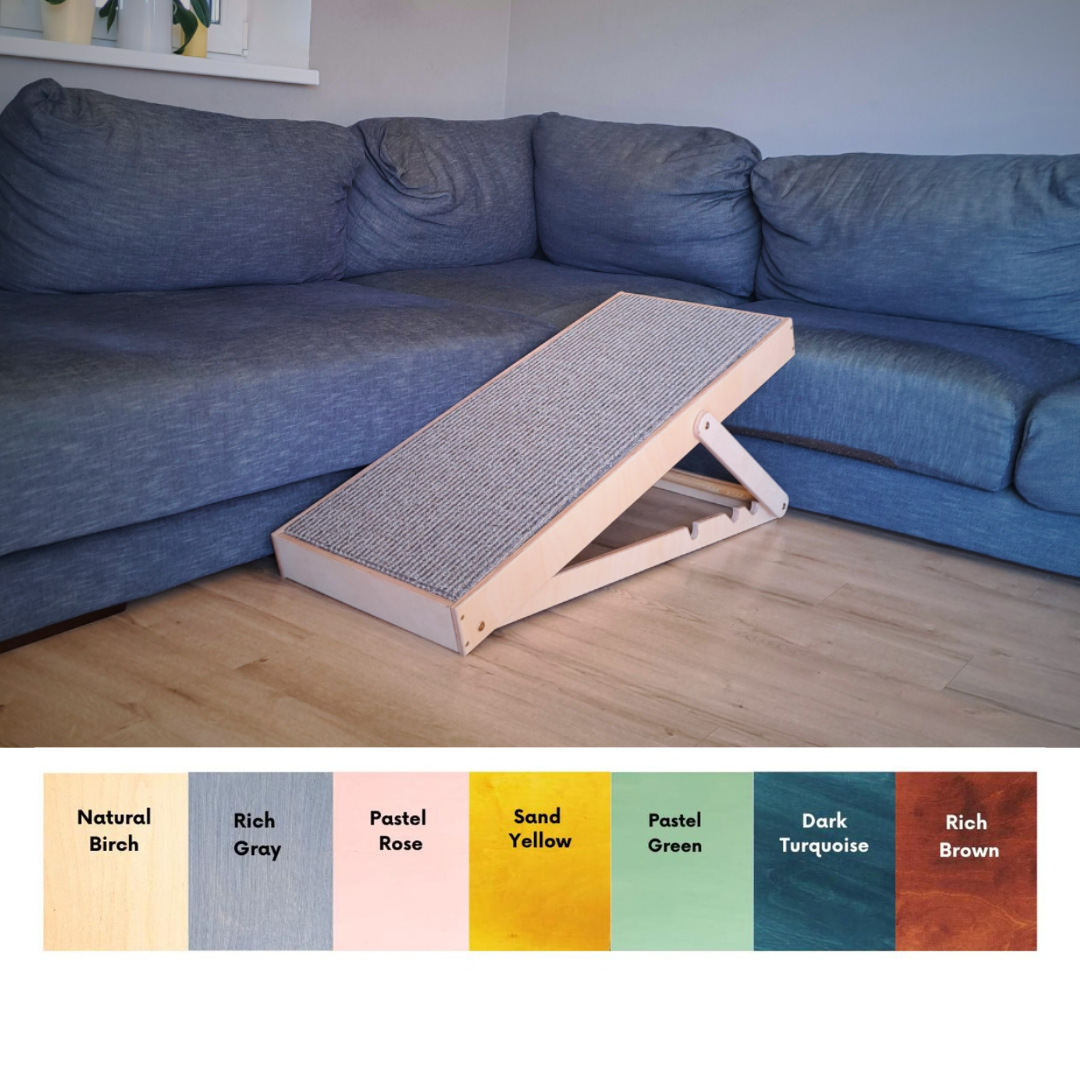 Dog ramp