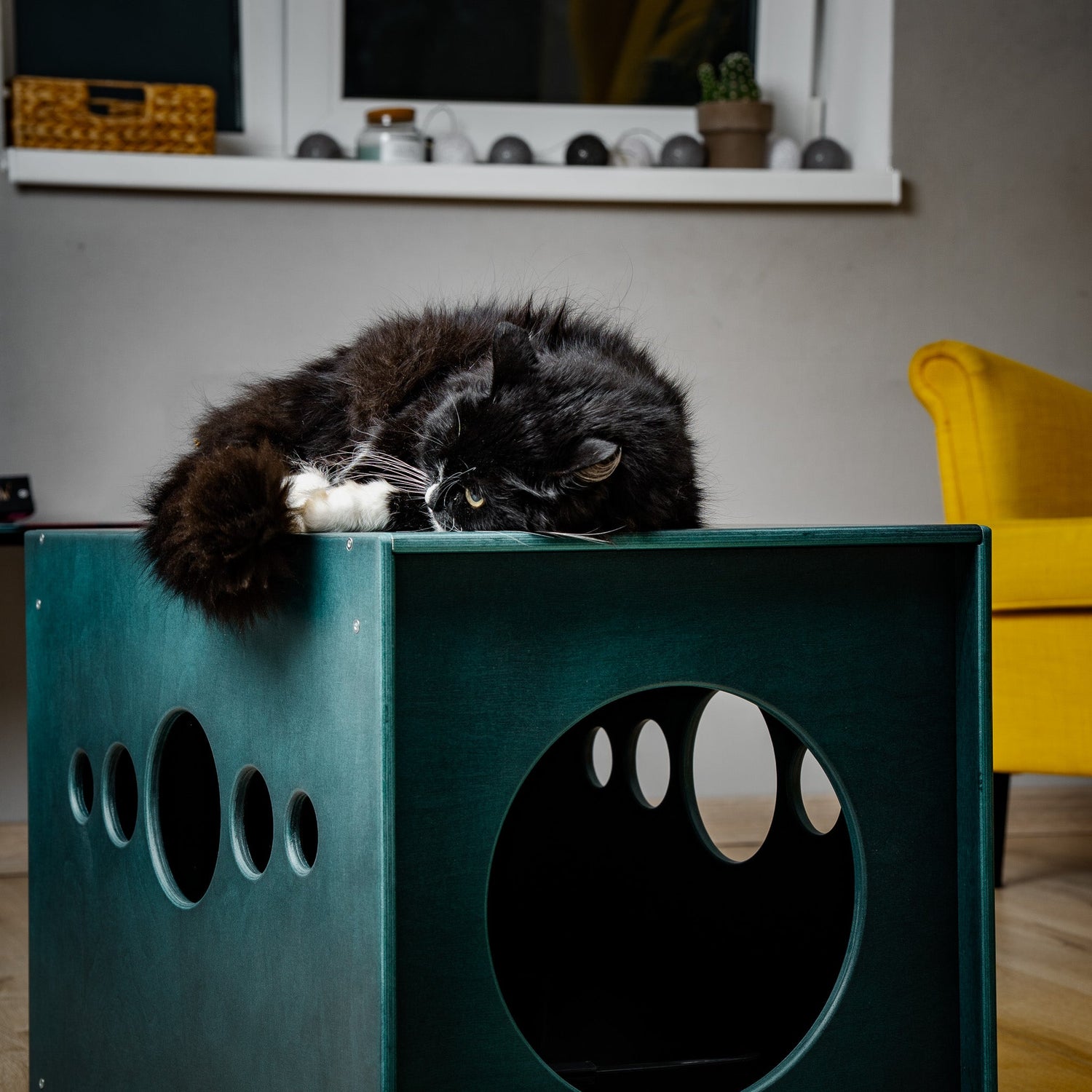 For Pets