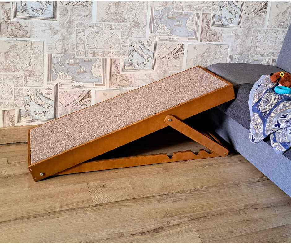 Rampe pour chien