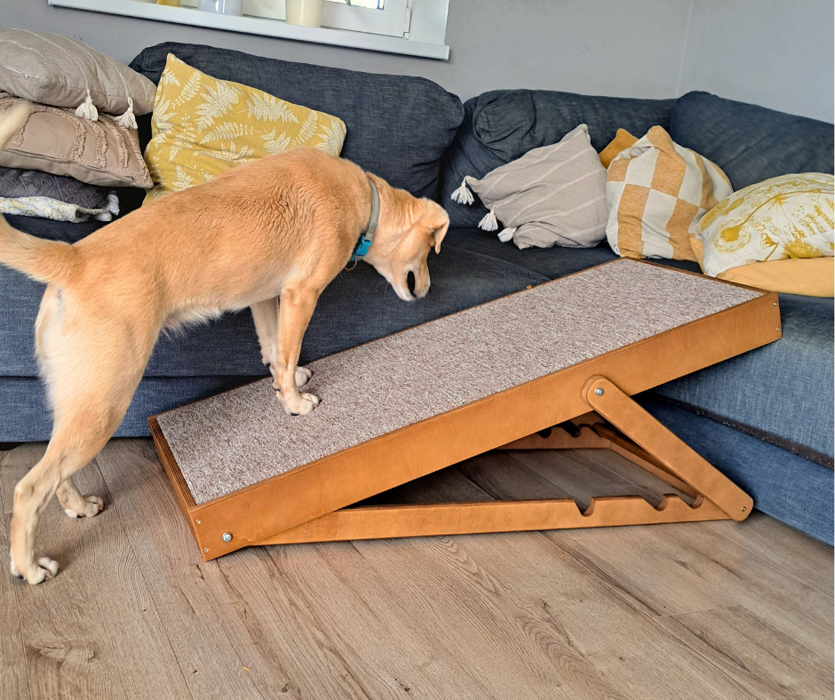 Rampe pour chien