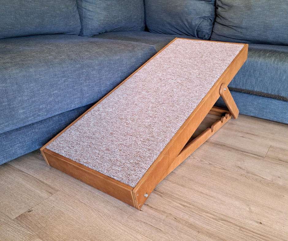 Rampe pour chien