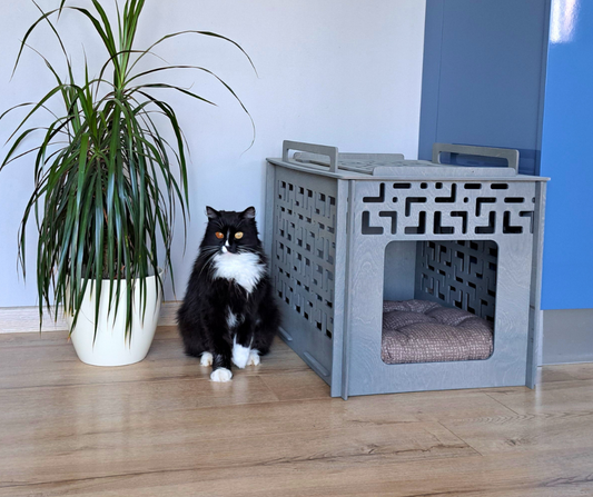 Large pet house