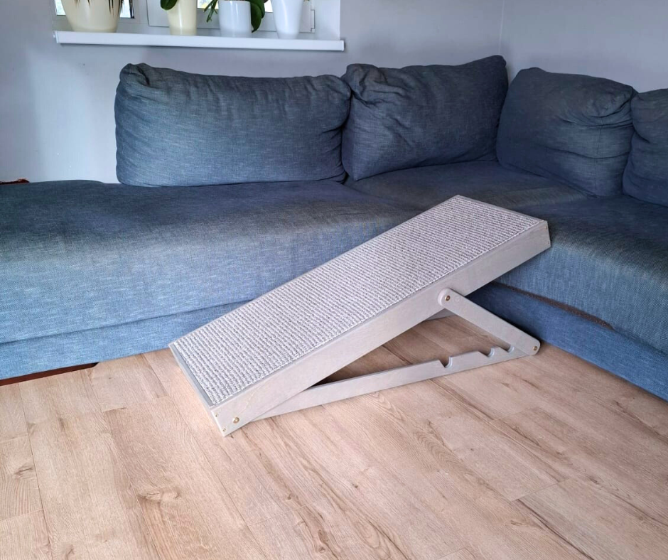 Rampe pour chien