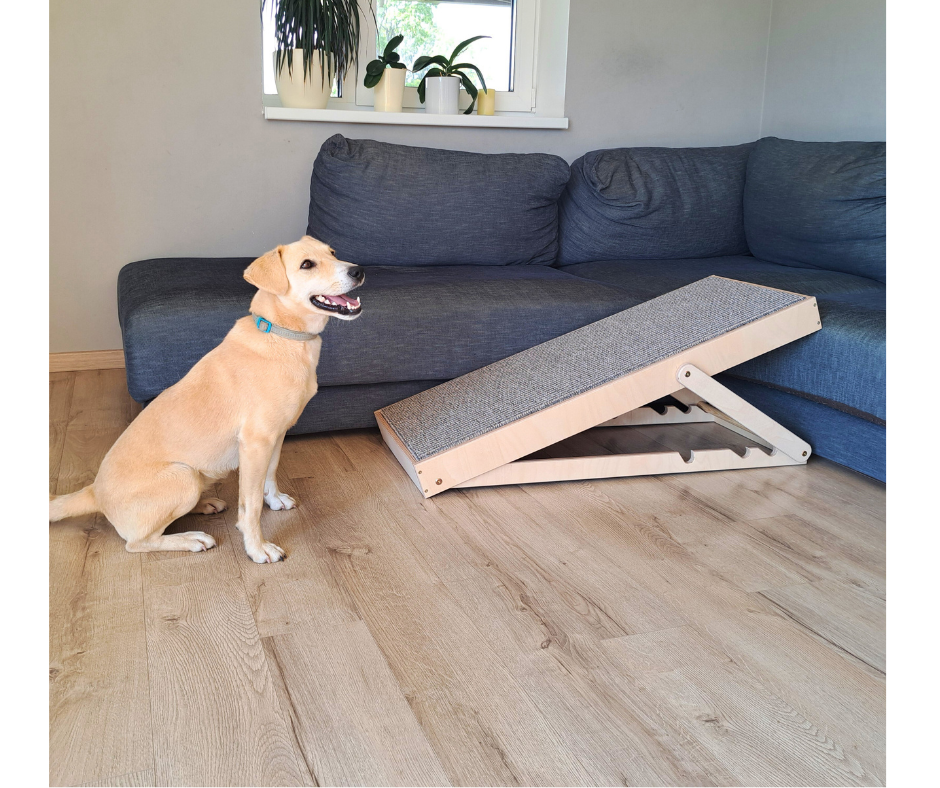 Rampe pour chien