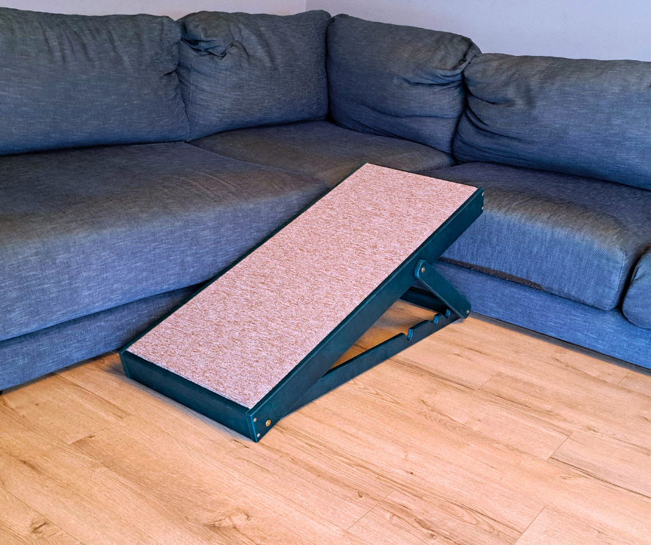 Rampe pour chien