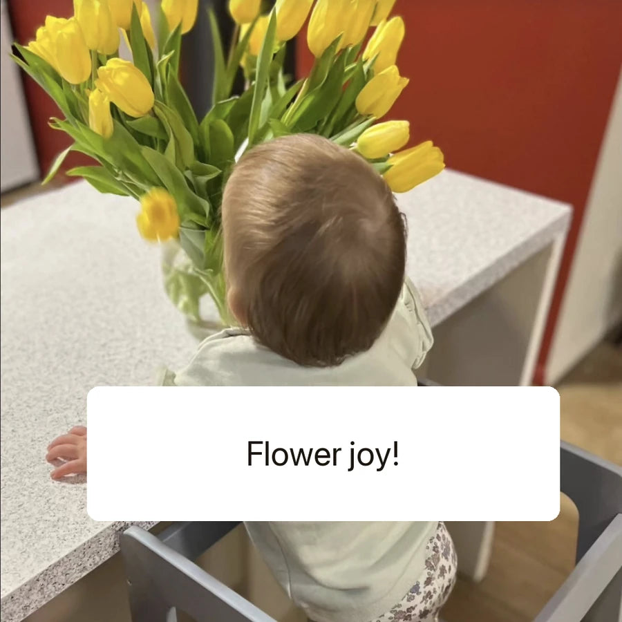 Reaching the tulips on the counter